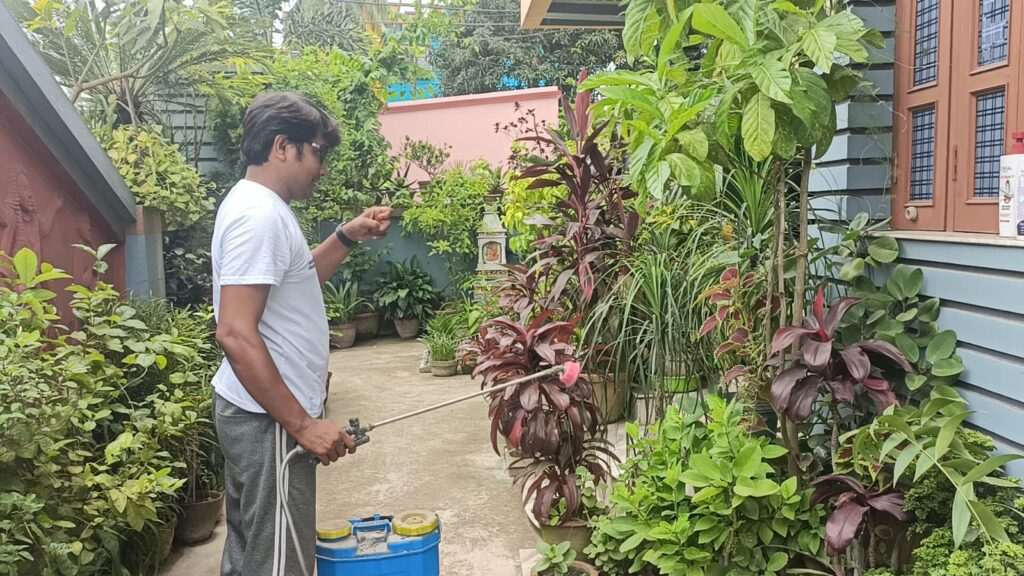 শান্তিপুরে অধ্যাপকের গ্রীনহোম মিশন 2 IMG 20250720 WA0049