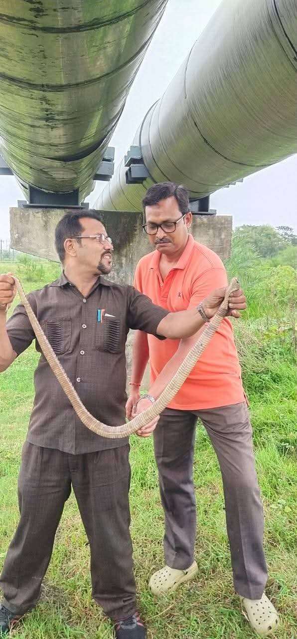 সমাজ তথা পরিবেশকে রক্ষায় ব্রতী হলদিয়ার নকুল বাবু 2 WhatsApp20Image202025 07 1020at2017.21.46 2a86250f